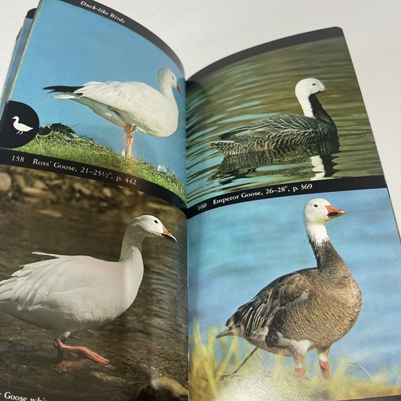 The Audubon Society Field Guide to North American Birds. Western Region Book - Picture 7 of 9